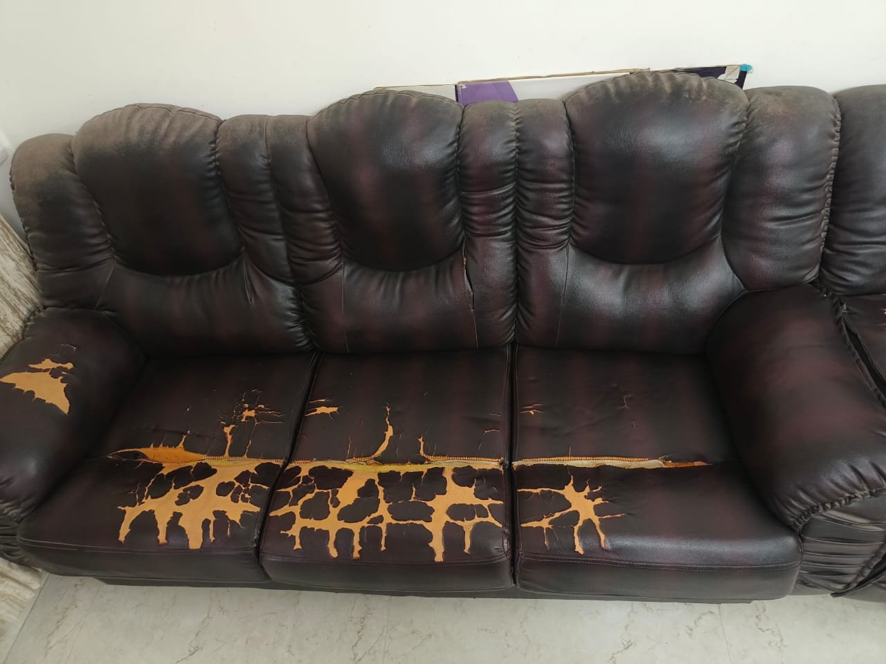 Living Room 3 + 1 Cushion Seater Sofa